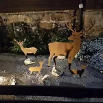 Pension Villa Waldfrieden