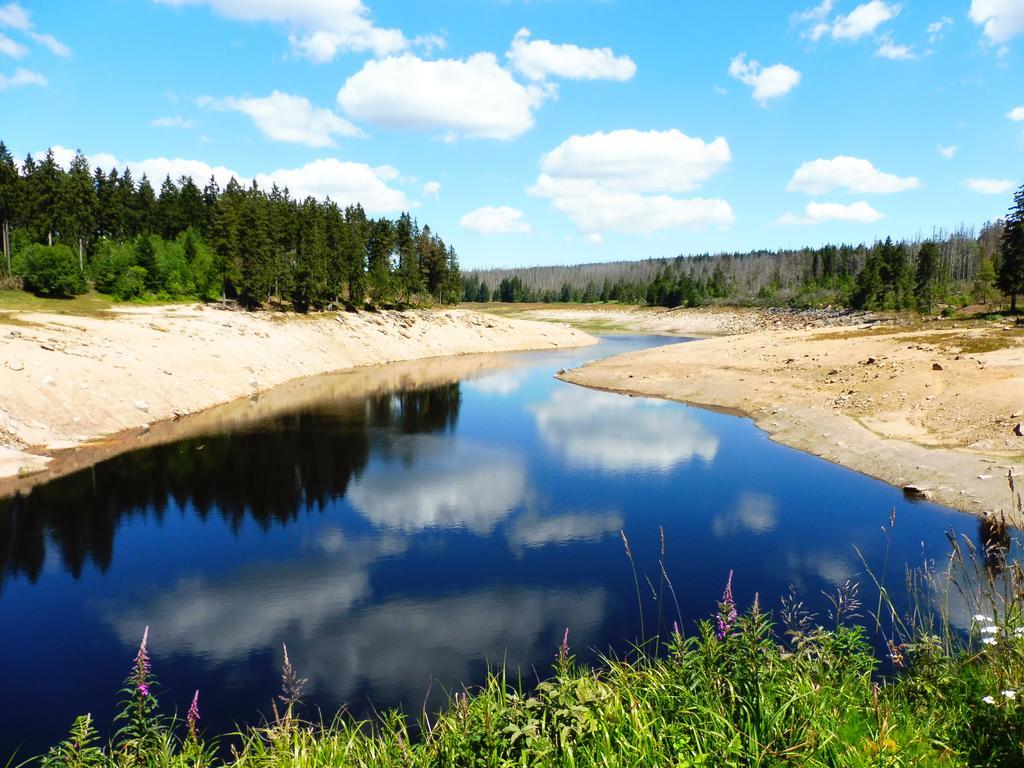 Gæstehus Waldfrieden Braunlage